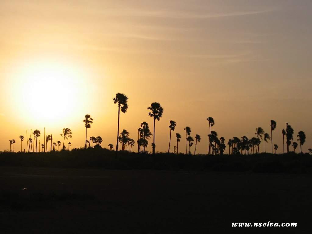 Sai Holiday Inn Jaffna Exteriör bild