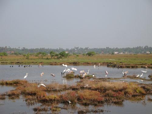 Sai Holiday Inn Jaffna Exteriör bild